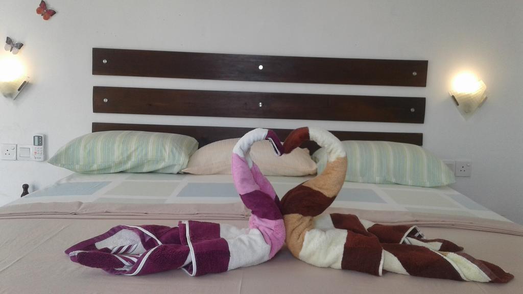 Petit Guest House Negombo Buitenkant foto